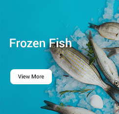 frozen-fish