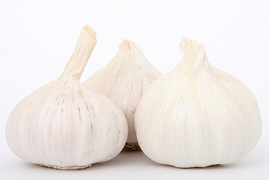 garlic product